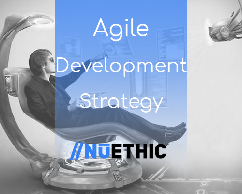 Agile Development Style